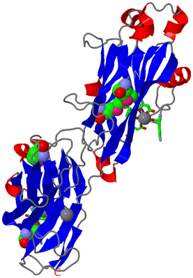 Image Asym./Biol. Unit - sites