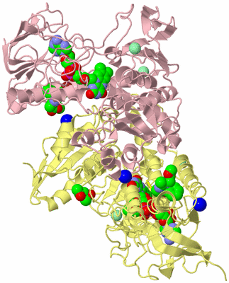 Image Biological Unit 1