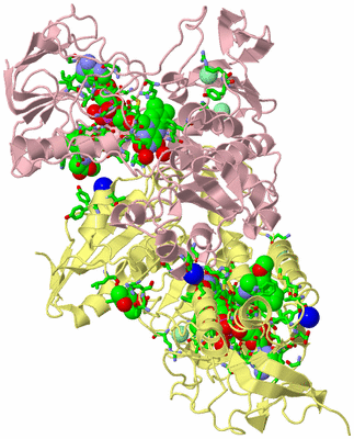 Image Biol. Unit 1 - sites