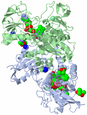 Image Biological Unit 2