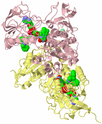 Image Biological Unit 1