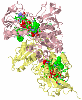 Image Biol. Unit 1 - sites