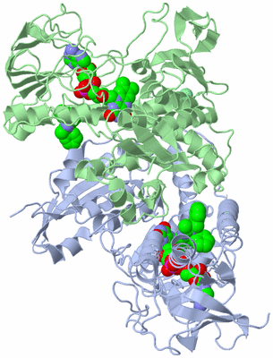 Image Biological Unit 2