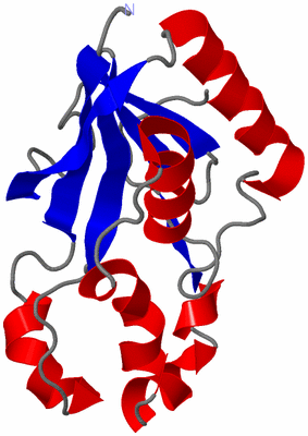 Image Asymmetric Unit