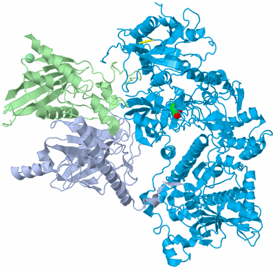 Image Asym./Biol. Unit