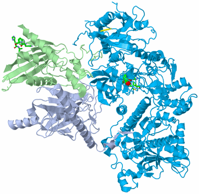 Image Asym./Biol. Unit - sites