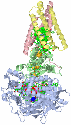 Image Biol. Unit 1 - sites