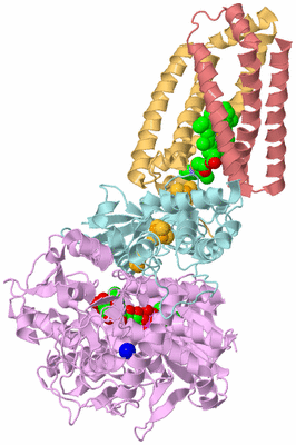 Image Biological Unit 2