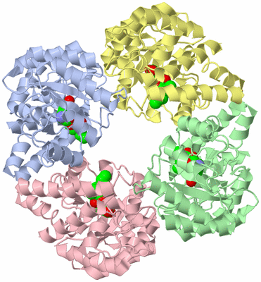 Image Asym./Biol. Unit