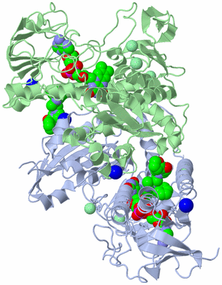 Image Biological Unit 1