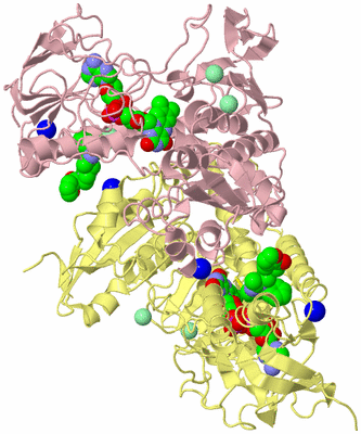 Image Biological Unit 2