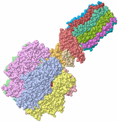 Image Asym./Biol. Unit - sites