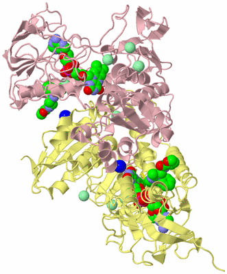 Image Biological Unit 1