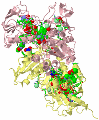 Image Biol. Unit 1 - sites