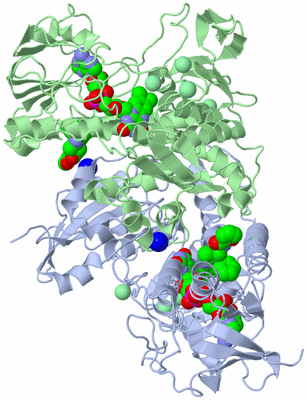 Image Biological Unit 2