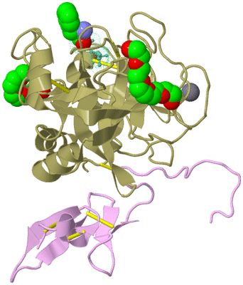 Image Asym./Biol. Unit