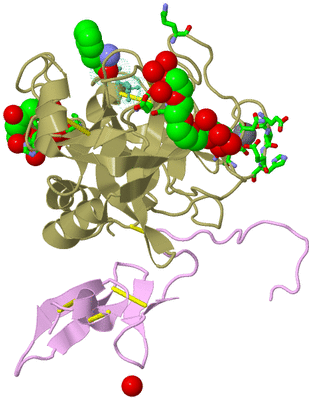 Image Asym./Biol. Unit - sites