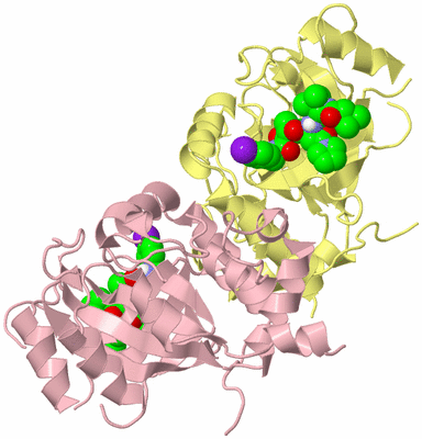 Image Biological Unit 2