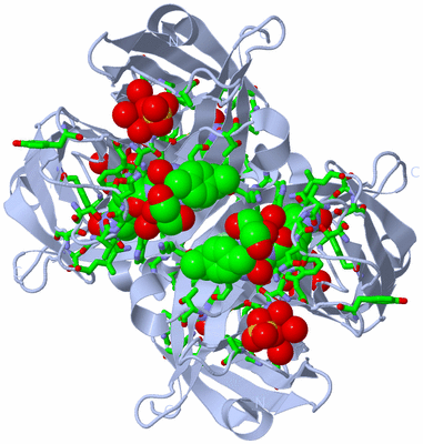 Image Biol. Unit 1 - sites