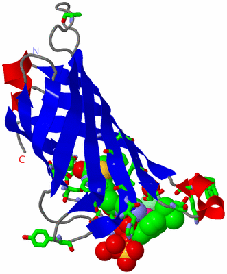 Image Asym. Unit - sites