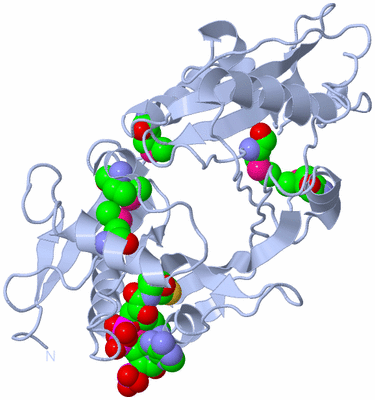 Image Biological Unit 1