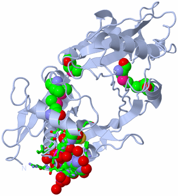 Image Biol. Unit 1 - sites