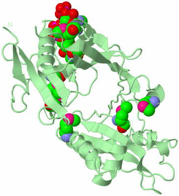 Image Biological Unit 2