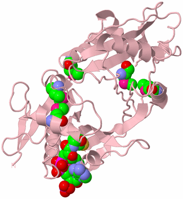 Image Biological Unit 3