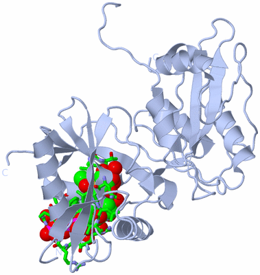 Image Biol. Unit 1 - sites