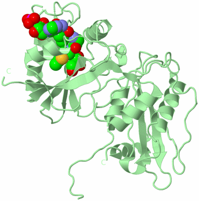 Image Biological Unit 2