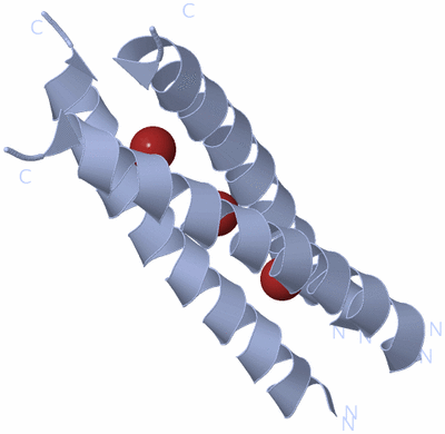 Image Biological Unit 1