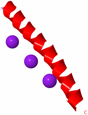 Image Asymmetric Unit