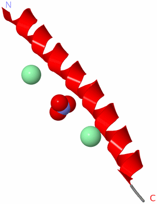 Image Asymmetric Unit