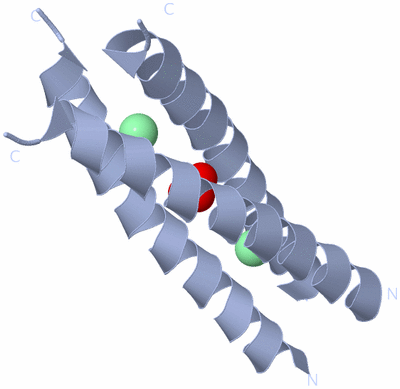 Image Biological Unit 1