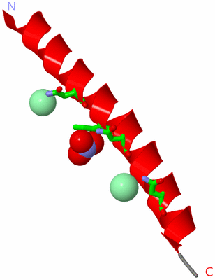 Image Asym. Unit - sites