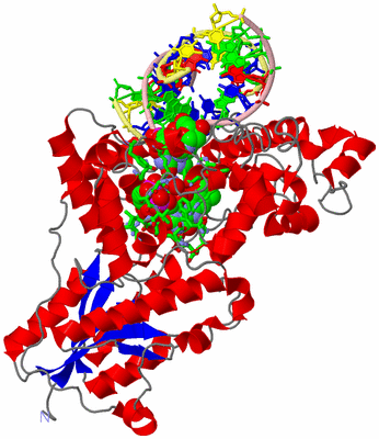 Image Asym./Biol. Unit - sites