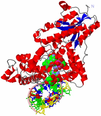 Image Asym./Biol. Unit