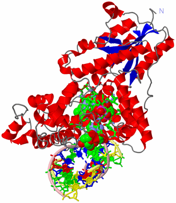 Image Asym./Biol. Unit - sites