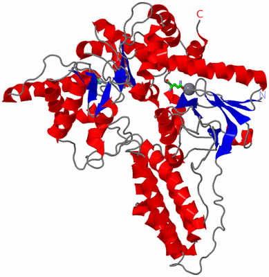 Image Asym. Unit - sites