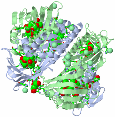 Image Biol. Unit 1 - sites