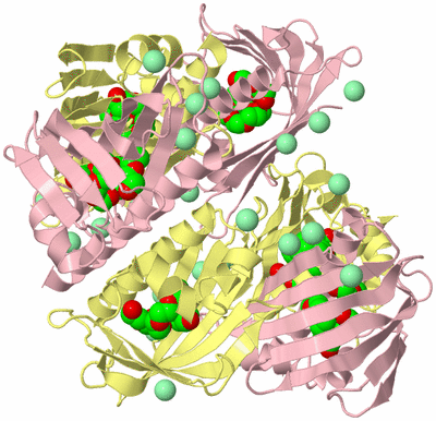 Image Biological Unit 2