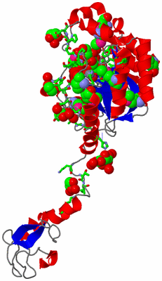 Image Asym. Unit - sites