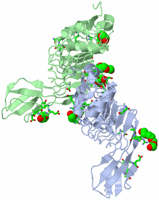 Image Asym. Unit - sites