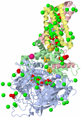 Image Biological Unit 1