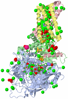 Image Biol. Unit 1 - sites