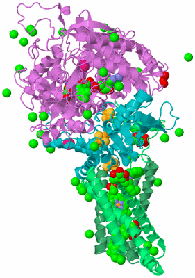 Image Biological Unit 2