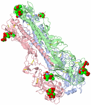 Image Asym./Biol. Unit