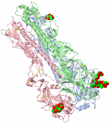 Image Asym./Biol. Unit