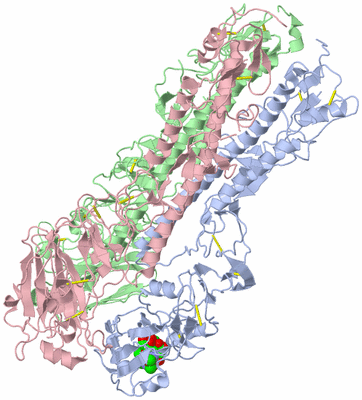 Image Asym./Biol. Unit