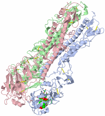 Image Asym./Biol. Unit - sites